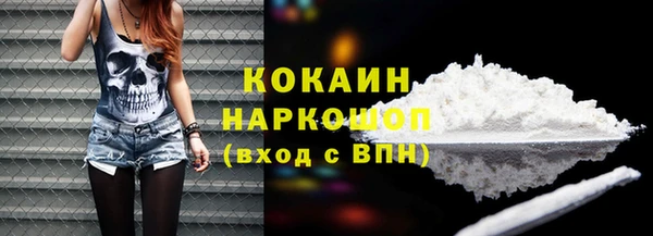 индика Бугульма