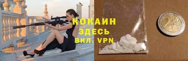 индика Бугульма