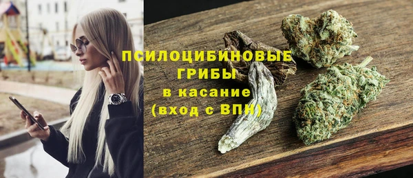 метадон Богданович
