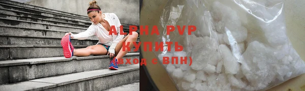 индика Бугульма