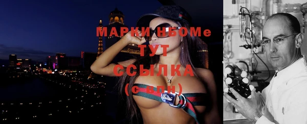 метадон Богданович