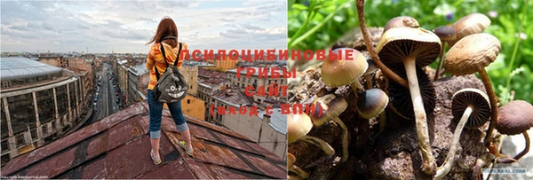 Альфа ПВП Богородицк