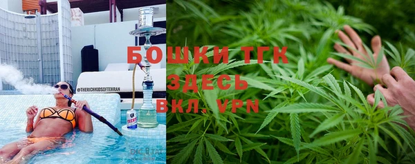метадон Богданович