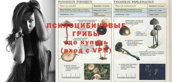 гашиш Бородино
