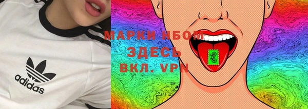 метадон Богданович