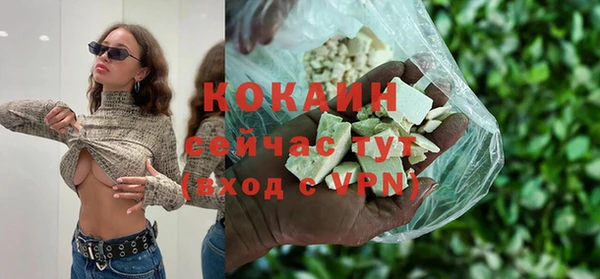 гашик Бронницы
