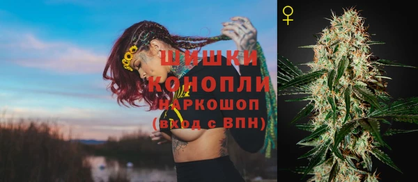 индика Бугульма